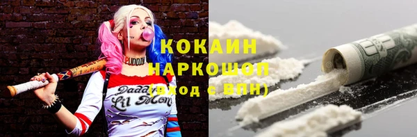 прущие грибы Армянск