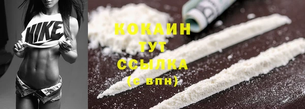 прущие грибы Лагань