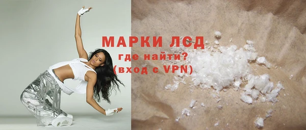 прущие грибы Армянск