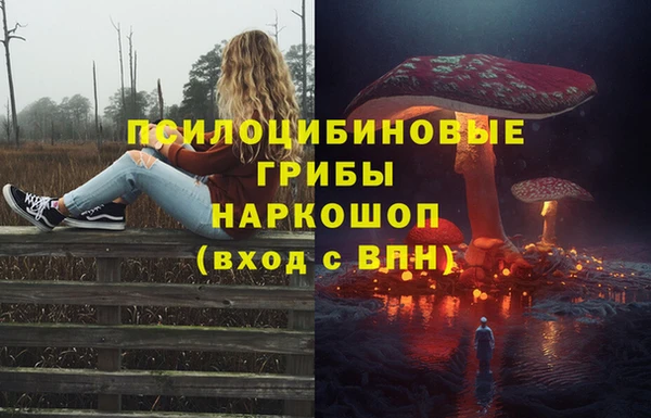 бутират Гусиноозёрск