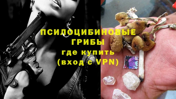 шишки Алексеевка