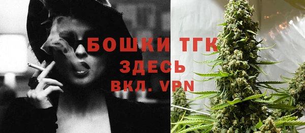 прущие грибы Армянск