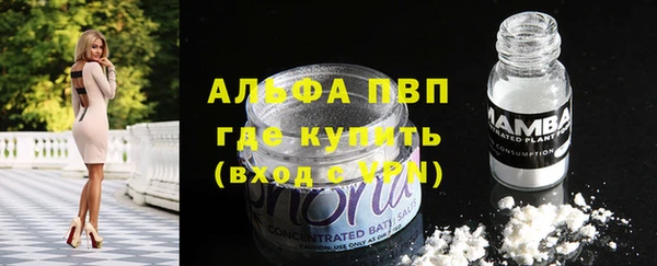 индика Гусев