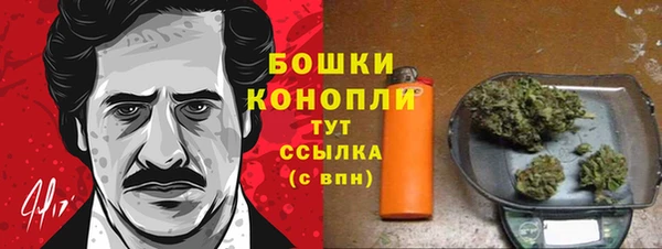 круглые Аркадак