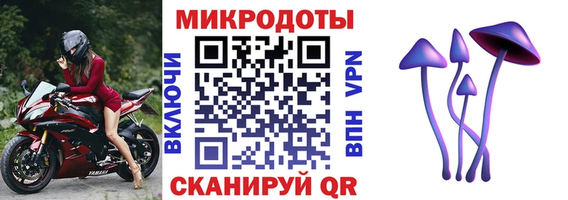 Псилоцибиновые грибы прущие грибы  MEGA зеркало  Каргат  где купить наркотик 